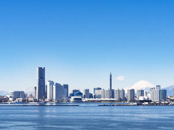 smiths detection yokohama